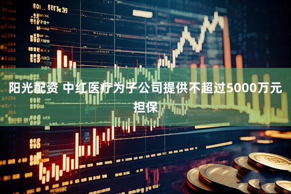 阳光配资 中红医疗为子公司提供不超过5000万元担保