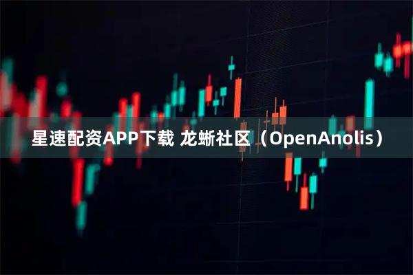 星速配资APP下载 龙蜥社区（OpenAnolis）