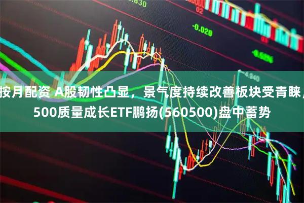 按月配资 A股韧性凸显，景气度持续改善板块受青睐，500质量成长ETF鹏扬(560500)盘中蓄势